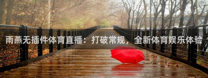 雨燕无插件体育直播：打破常规，全新体育娱乐体验