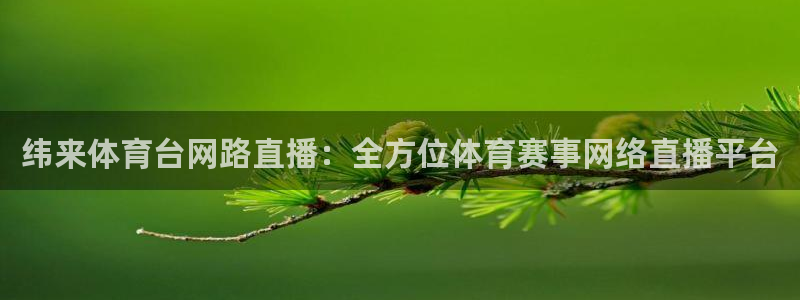 纬来体育台网路直播：全方位体育赛事网络直播平台