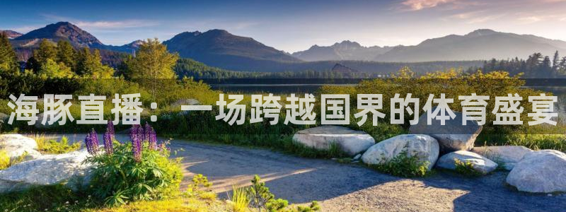 海豚直播：一场跨越国界的体育盛宴