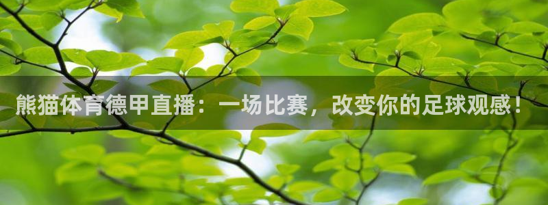 熊猫体育德甲直播：一场比赛，改变你的足球观感！