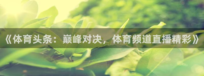 新闻图片